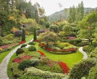 /album/fotogaleria-jardineria-y-paisajismo/descarga-1-jpg/